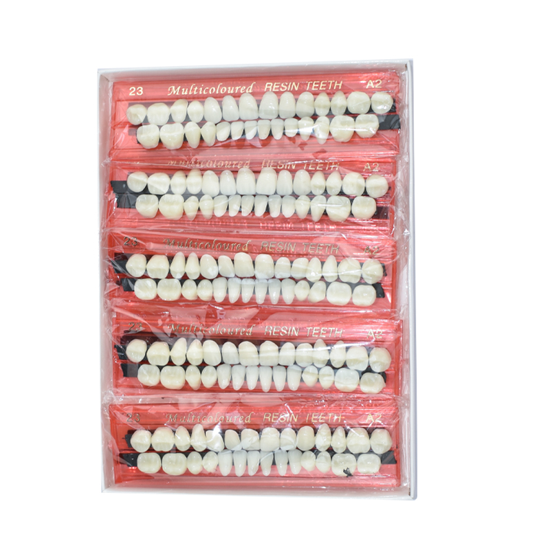 28 Diş Diş Reçine Protez Seti  - Dental 3D Printer Resin incelemesi ve fiyatı