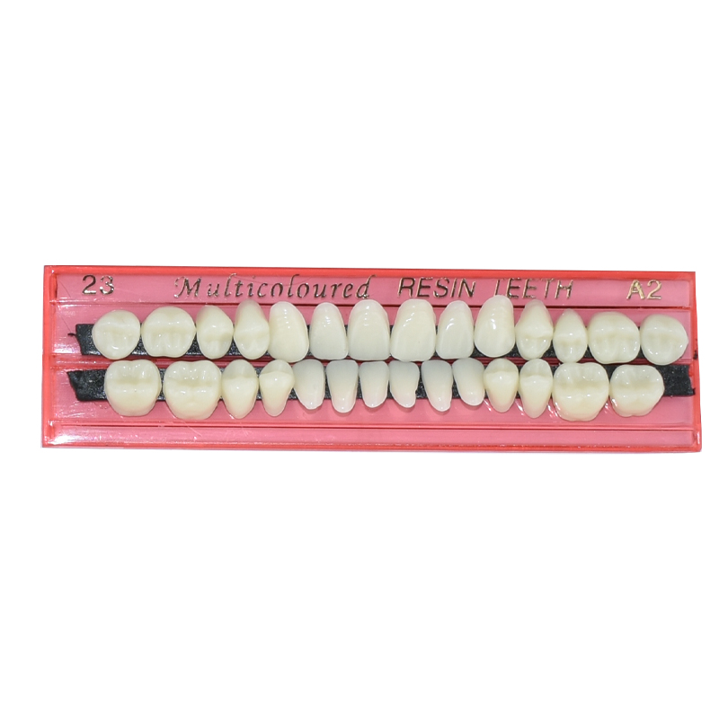 28 Diş Diş Reçine Protez Seti  - Dental 3D Printer Resin incelemesi ve fiyatı