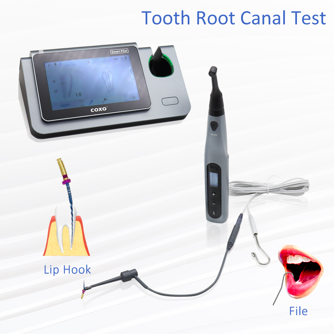 COXO Smart Endo Motor C-SMART  - Dental Endo Motor Apex Locator incelemesi ve fiyatı